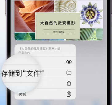 伽师apple维修中心分享iPhone文件应用中存储和找到下载文件