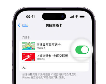 伽师apple维修点分享iPhone上更换Apple Pay快捷交通卡手绘卡面 