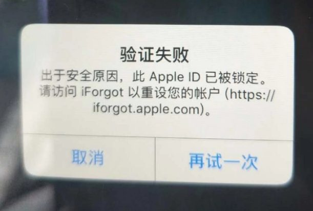 伽师iPhone维修分享iPhone上正常登录或使用AppleID怎么办 