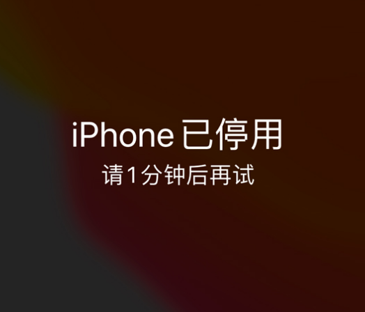 伽师苹果手机维修分享:iPhone 显示“不可用”或“已停用”怎么办？还能保留数据吗？ 