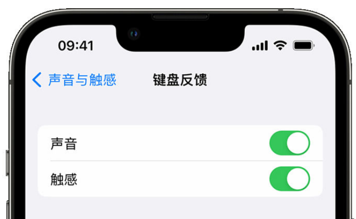 伽师苹果手机维修分享iPhone 14触感键盘使用方法 