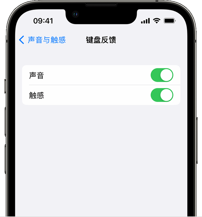 伽师苹果14维修店分享如何在 iPhone 14 机型中使用触感键盘 