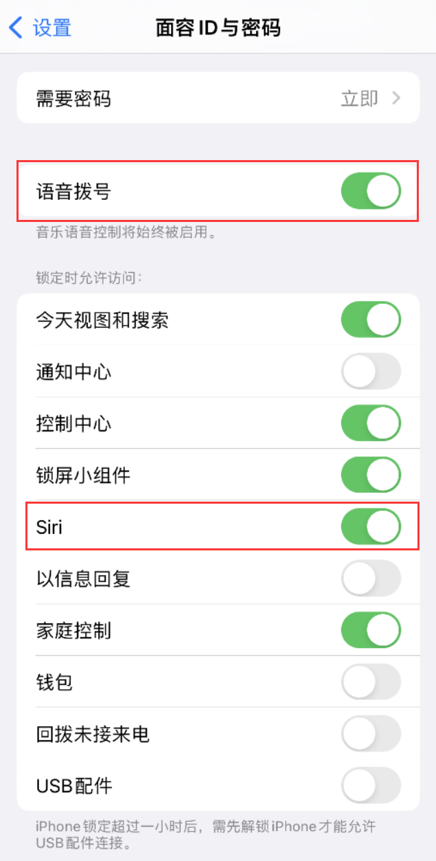 伽师苹果维修网点分享不解锁 iPhone 的情况下通过 Siri 拨打电话的方法 