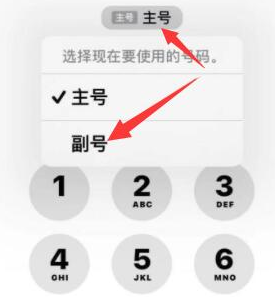 伽师苹果14维修店分享iPhone 14 Pro Max使用副卡打电话的方法 