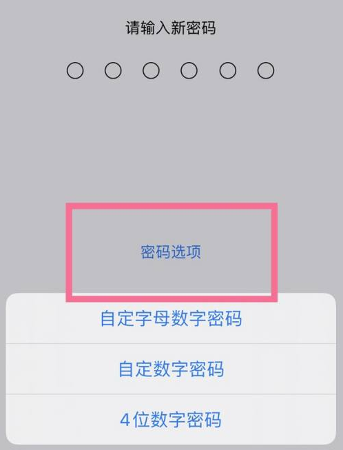 伽师苹果14维修分享iPhone 14plus设置密码的方法 