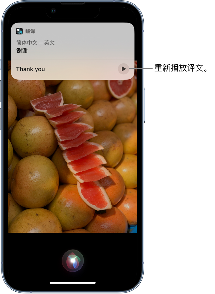 伽师苹果14维修分享 iPhone 14 机型中使用 Siri：了解 Siri 能帮你做什么 