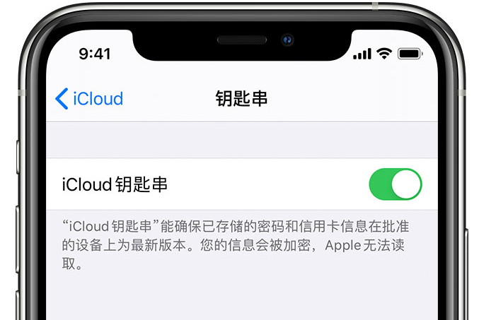 伽师苹果手机维修分享在 iPhone 上开启 iCloud 钥匙串之后会储存哪些信息 