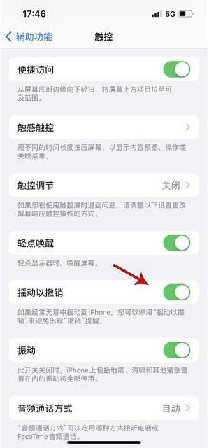 伽师苹果手机维修分享iPhone手机如何设置摇一摇删除文字 